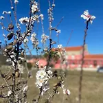 Casa Jardas Séjour à la campagne Idanha-a-Nova