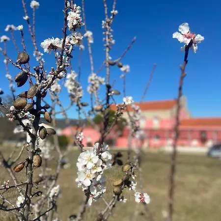 Casa Jardas Hétvégi ház Idanha-a-Nova