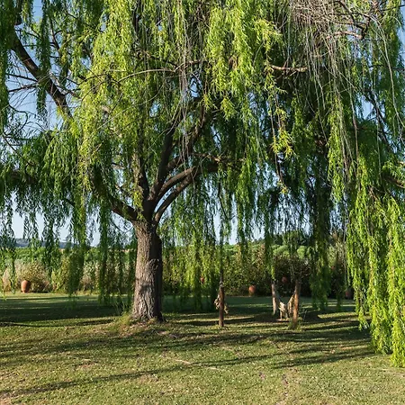 Εξοχικό σπίτι Casa Jardas