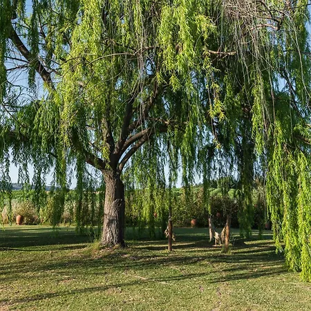 Hétvégi ház Casa Jardas