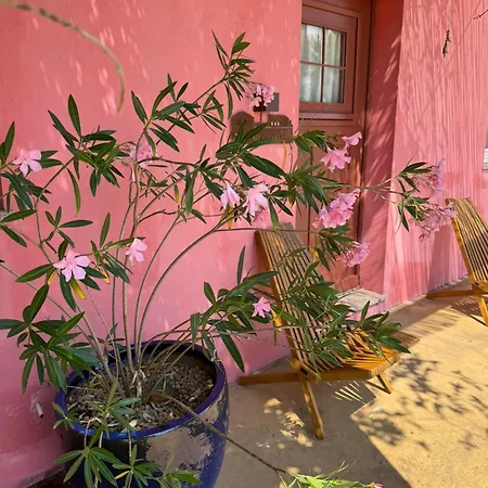 Casa Jardas