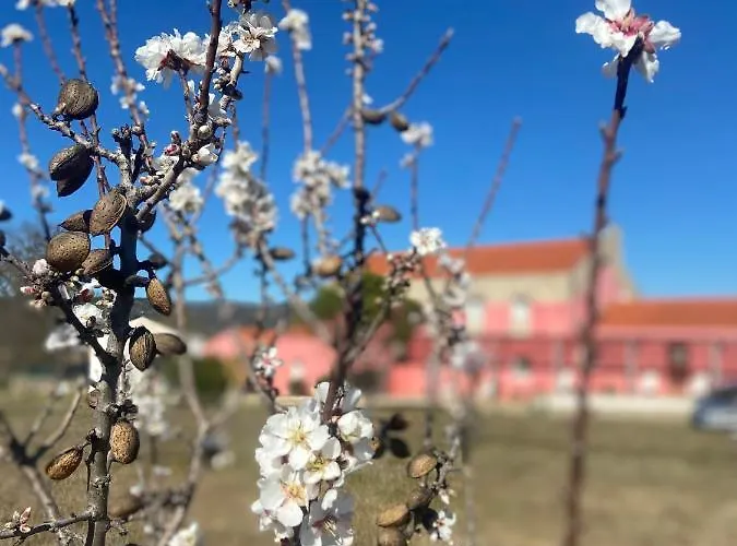 Casa Jardas בית כפרי אידאהה אה נובה